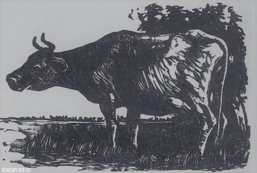 Fiszel Zylberberg, woodcut, A cow (source: www.zchor.org)